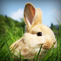 /album/alexis-gzz-n/photolia-a03-jpg/